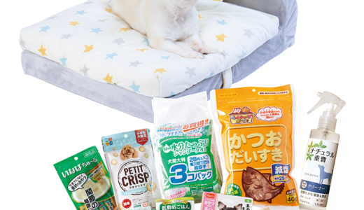 【犬の福袋】2023年の種類！予約や発売日はいつ？イオンやペピィなどの通販情報も。
