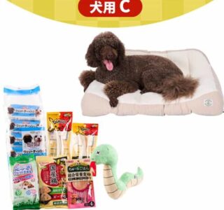 【犬の福袋】2025年の種類！予約や発売日はいつ？イオンやペピィなどの通販情報も。