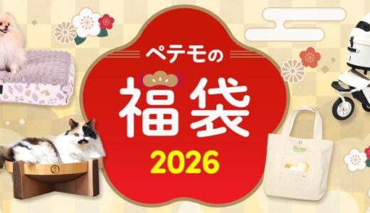 【犬の福袋2026】イオンペット(ペテモ)の中身と発売日は？種類や値段まとめ。